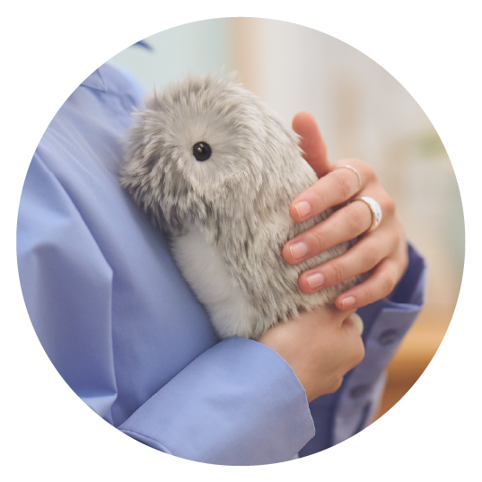 Casio AI Pet Moflin Communication Robot silver PE-M10SR Japan | eBay