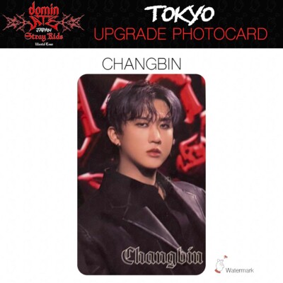 Stray Kids World Tour dominATE JAPAN dominATE Sheet 樂 UPGRADE