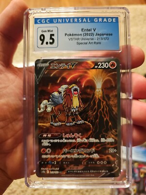 Entei Japanese Pokemon Card Japanese Entei V 213/172 SAR S12a
