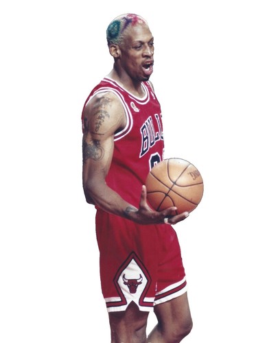 1995-96 Collector's Choice Dennis Rodman Chicago Bulls #271 | eBay