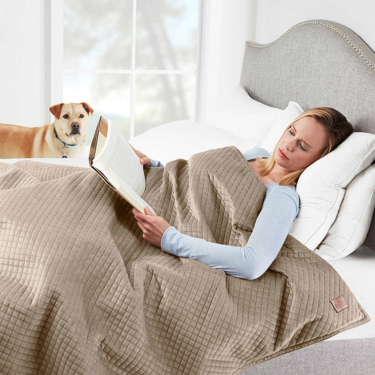 Pendleton, Single User Weighted 15 Lbs Blanket 48