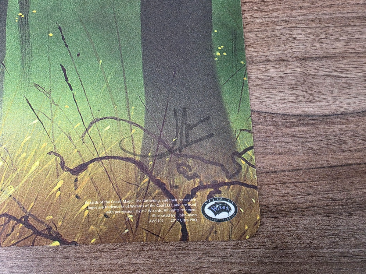 Magic the Gathering Unhinged Forest Playmat John Avon Signed | eBay