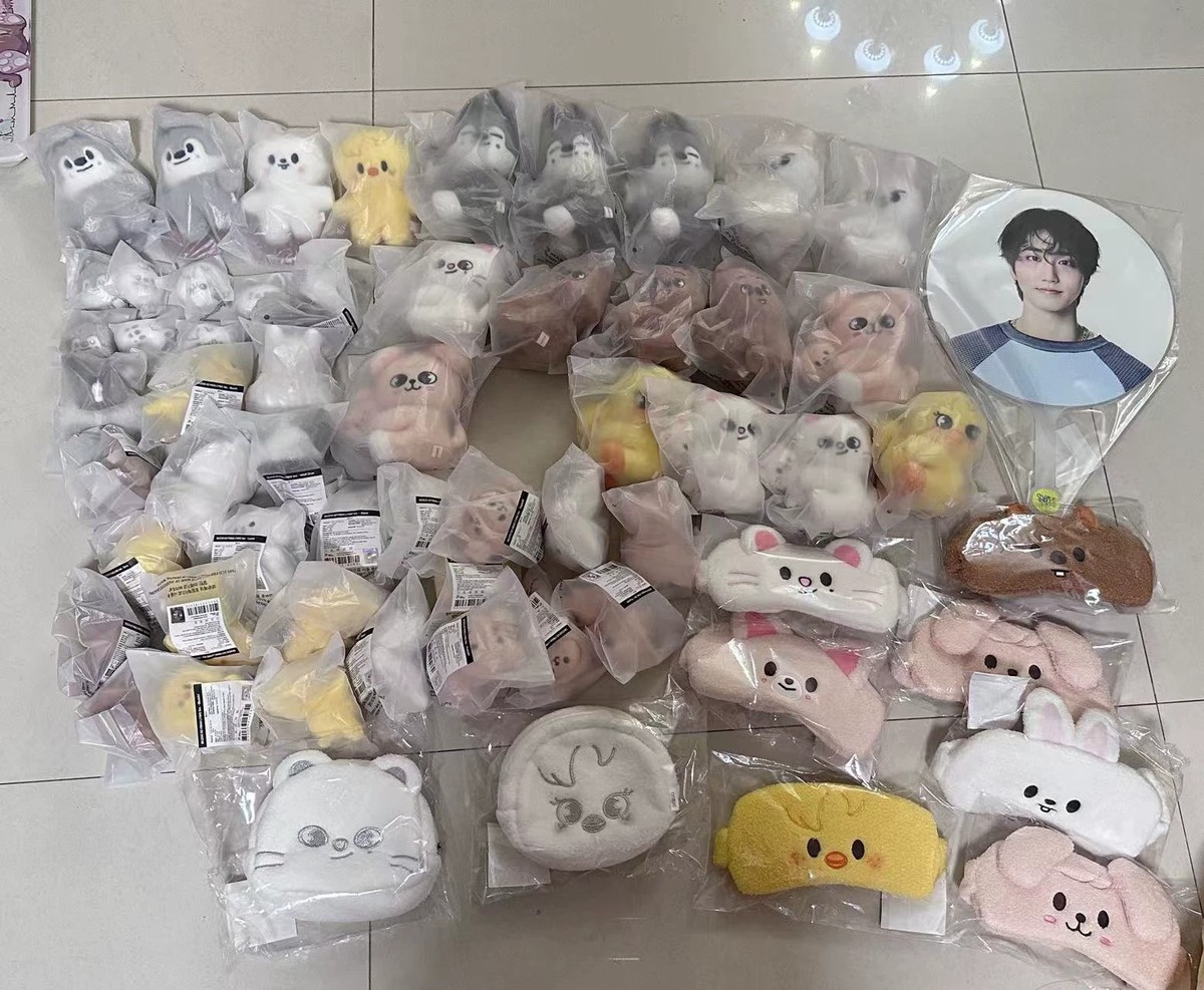 ON HAND】STRAY KIDS World Tour dominATE : celebrATE POP-UP