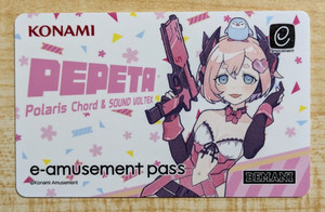 E Amusement Pass | eBay