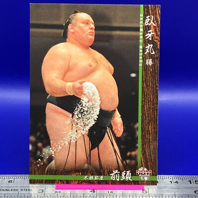 Gagamaru Masaru Sumo Wrestler Trading Card BBM 2016 Rikishi TCG