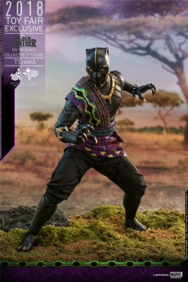 Hot Toys MMS487 Black Panther 1/6th scale T'Chaka Collectible