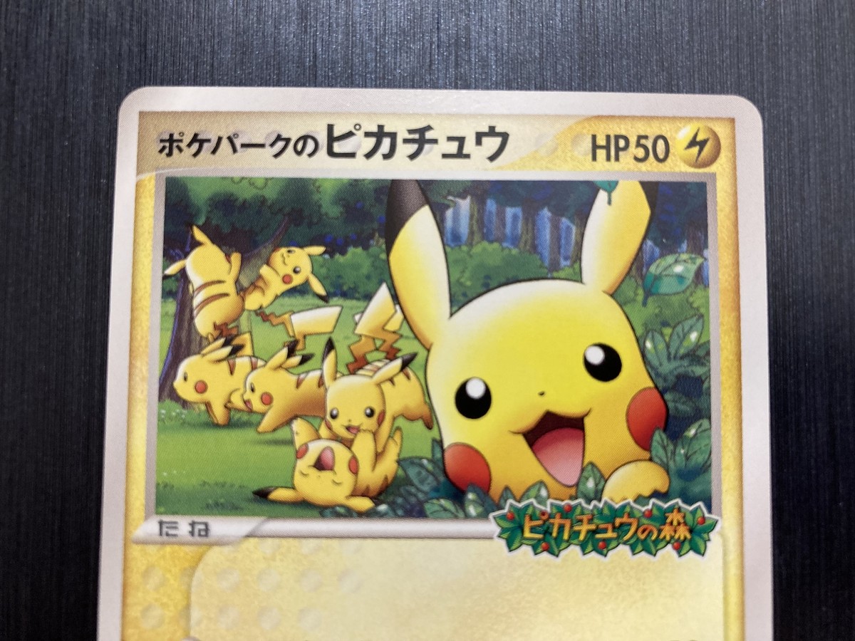 ポケパークのピカチュウ PROMO r*i様 ポケパークのピカチュウ 043/PCG