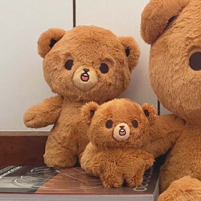 AUTHENTIC/NEW] NCT 127 DREAM HAECHAN (10cm 20cm) PLUSH DOLL GOMDO