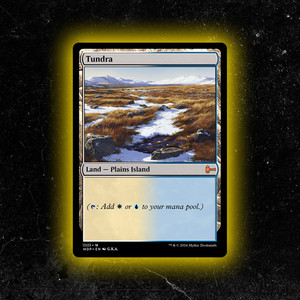 Magic The Gathering Tundra | eBay