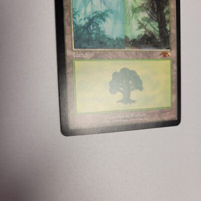Guru Forest English Land MTG Magic the Gathering | eBay