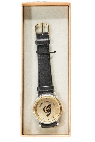 Casio AI Pet Moflin Communication Robot Gold PE-M10GD From Japan