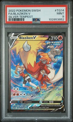 Blaziken V Trainer Gallery Silver Tempest TG14/TG30 Pokemon Card