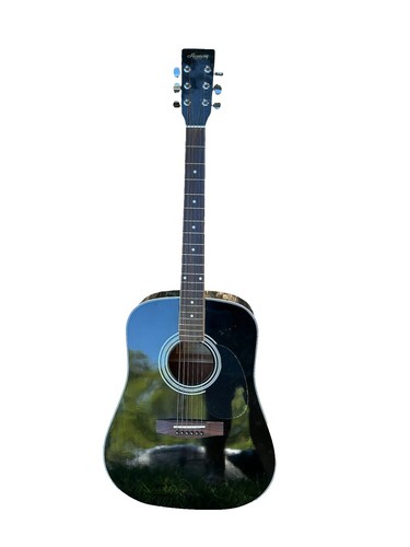 Full Acoustic Electric Guitar Regal Harmony Meteor 1962 Sunburst