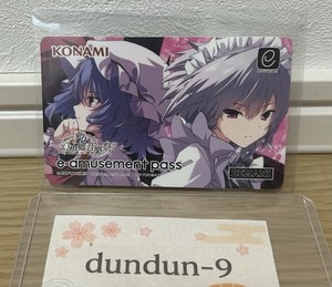 E Amusement Pass | eBay