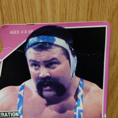 Hasbro Official Figure The Steiner Brothers WWF WWE:JP | eBay