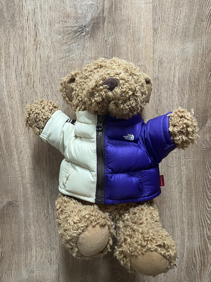 Supreme The North Face Bear- Tan | eBay