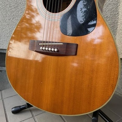 Acoustic Guitar Yamaha FG-250 Green Label Natural Made in Japan