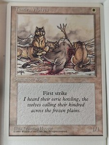 Magic The Gathering Tundra | eBay