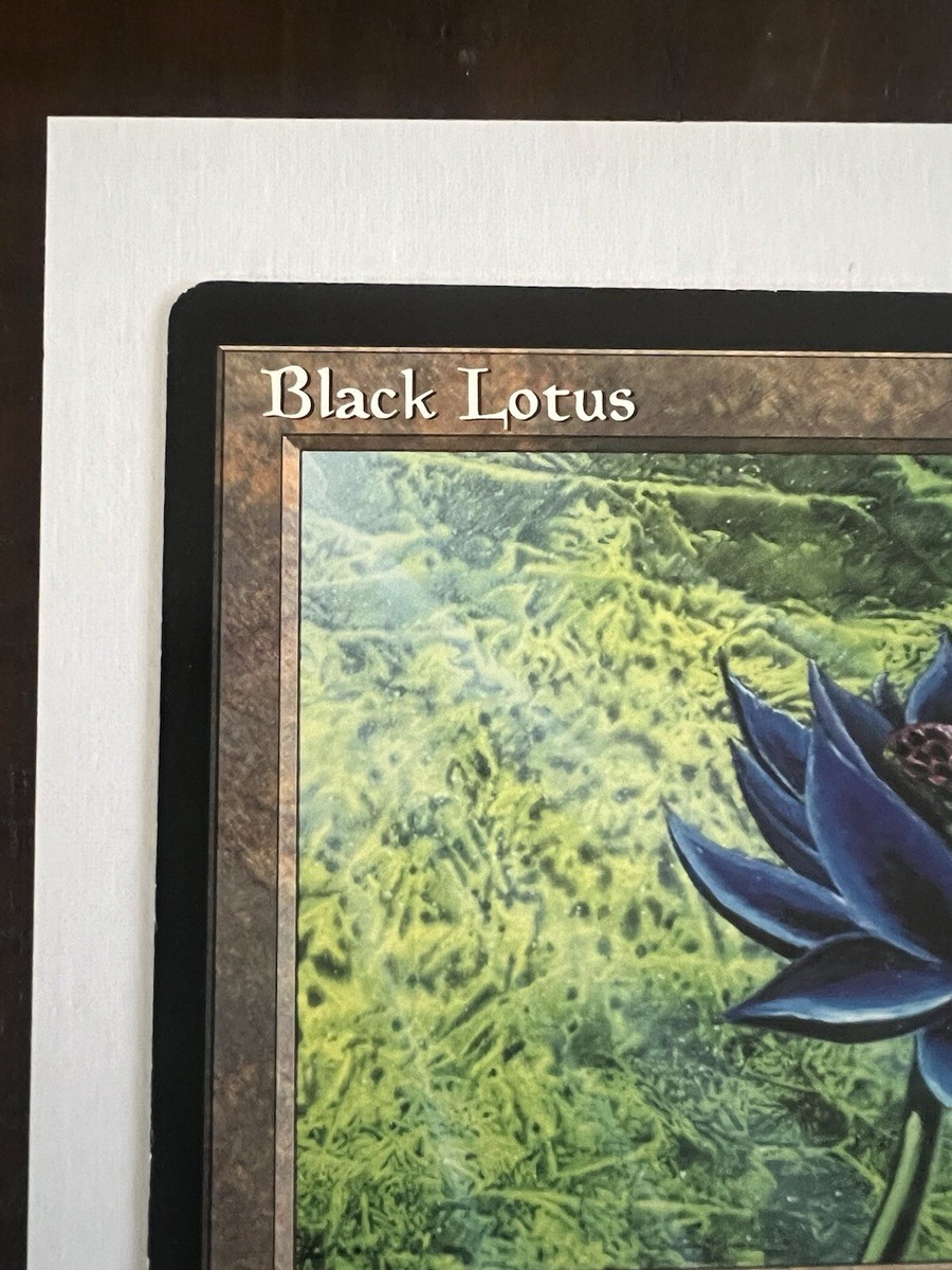 Black Lotus 6X9 Oversized Promo Magic the Gathering MTG Signed