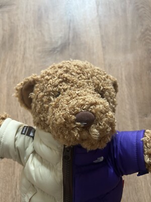 Supreme The North Face Bear- Tan | eBay