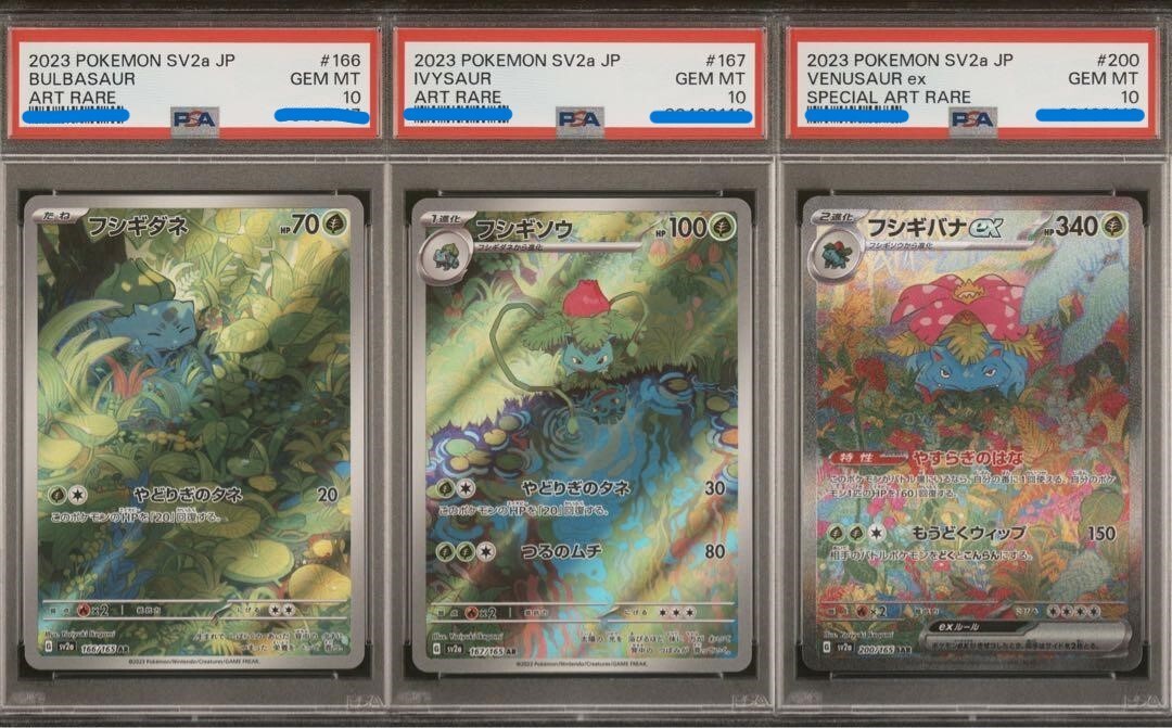 PSA 10 SET Venusaur Bulbasaur Ivysaur SAR 200/165 sv2a Pokemon