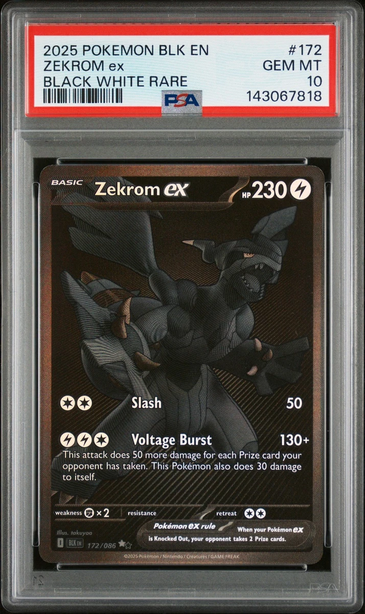 Zekrom Pokémon TCG Professional Sports Authenticator (PSA