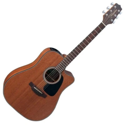 Takamine Lawsuit F340 | eBay
