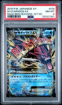 2015 POKEMON JPN XY RAGE OF THE BROKEN HEAVENS 1ST ED #019 M