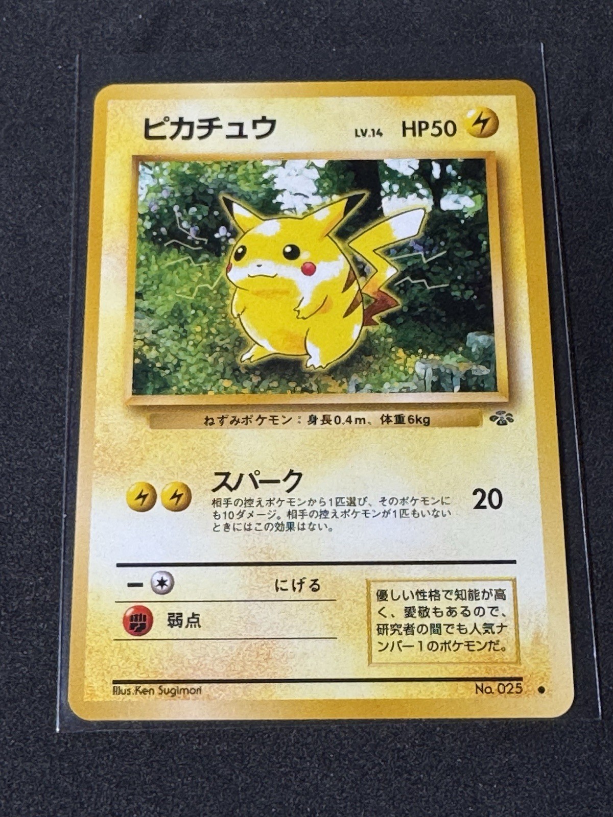 Pikachu 1997 Japanese Jungle #025 Base Price Guide - Sports Card