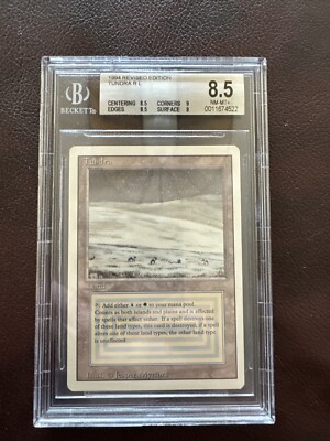 Tundra Dual Land Revised Graded BGS MTG 8.5 NM-MT+8.5/8.5/9/8 (RG