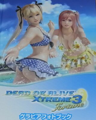 Dead Or Alive Xtreme 3 Photogravure Visual Art Book Fortune