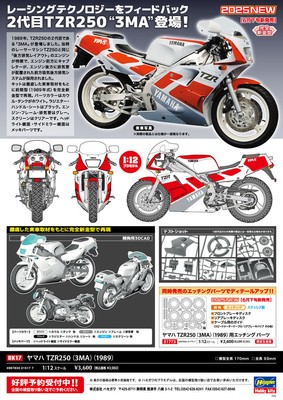 Yamaha TZR250 (3MA) (1989) BK17 Plastic Model kit Bike Toy