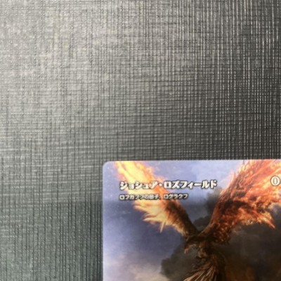 Joshua Rosfield Rograkh Magic Spotlight MTG Final Fantasy Promo