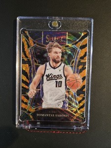 Select Tiger Prizm | eBay