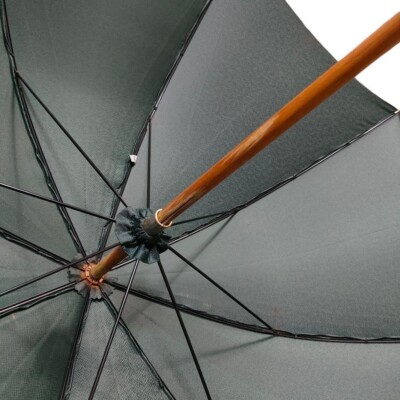 LOUIS VUITTON タイガ 傘 〈Taiga〉Umbrella