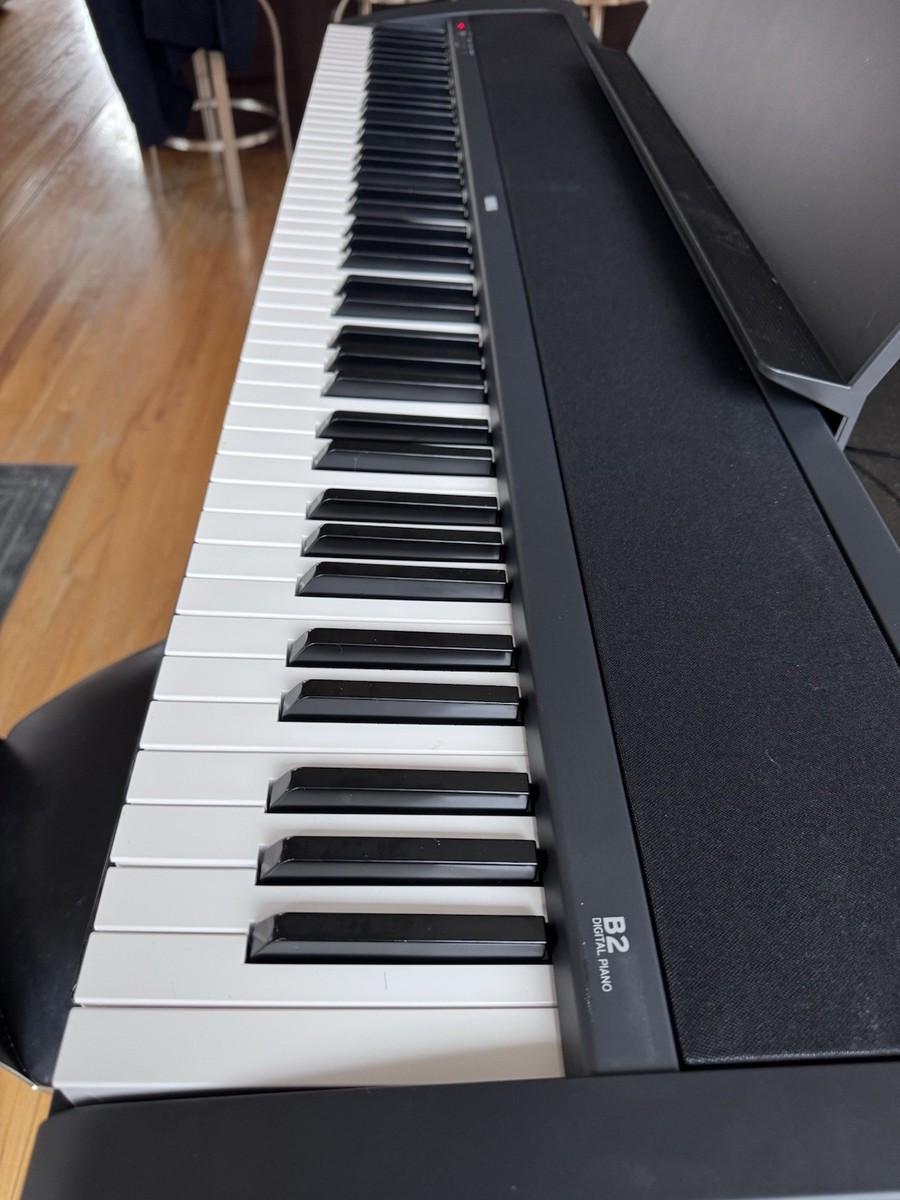KORG B2 88-Key Digital Piano Black Store Return | eBay
