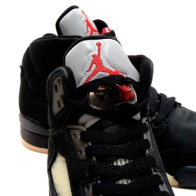 Nike WMNS Air Jordan 5 Retro GORE-TEX 