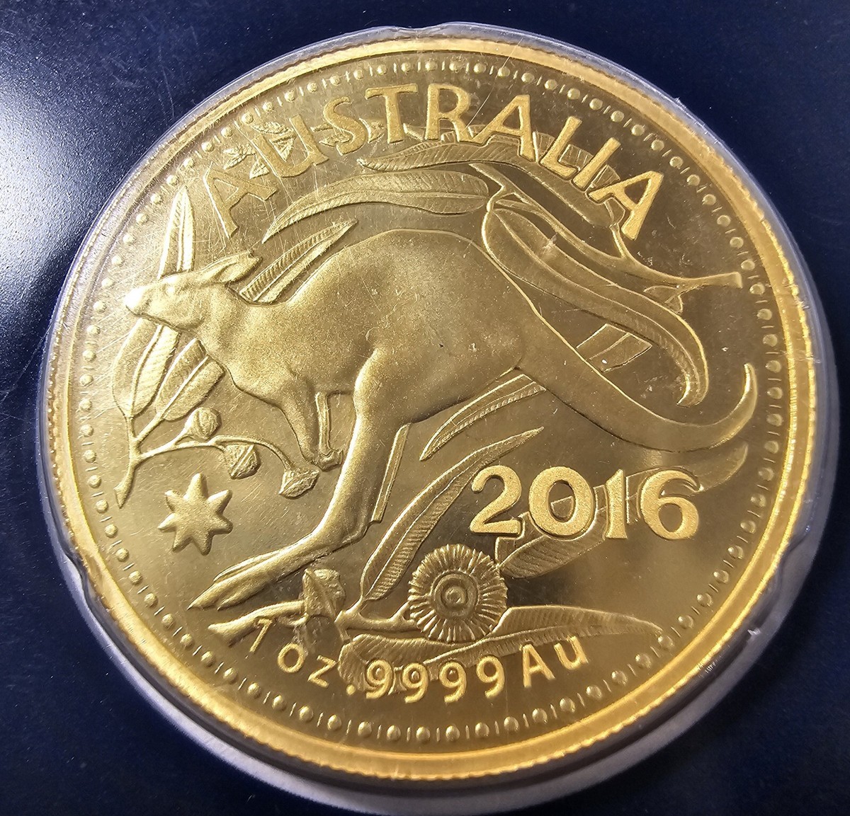 2016 1 Oz Gold Kangaroo Coin Royal Australia Mint $100 In Assay