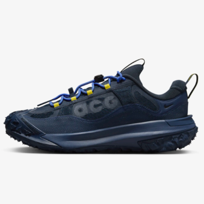 Nike ACG Mountain Fly 2 Low Gore-TEX Shoes 'Dark Obsidiain