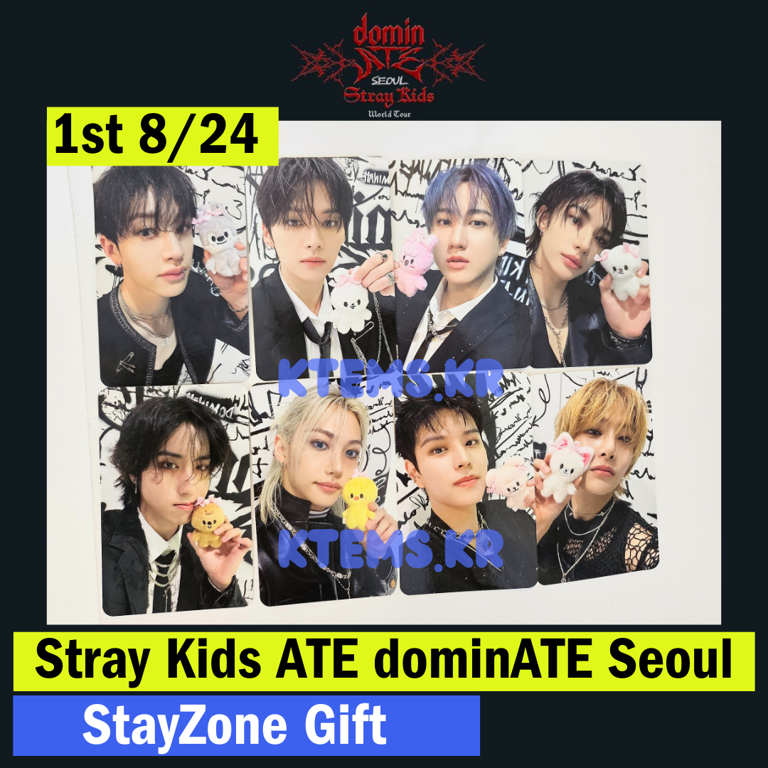 Stray Kids STAYZONE stay zone photocard ate dominATE seoul package