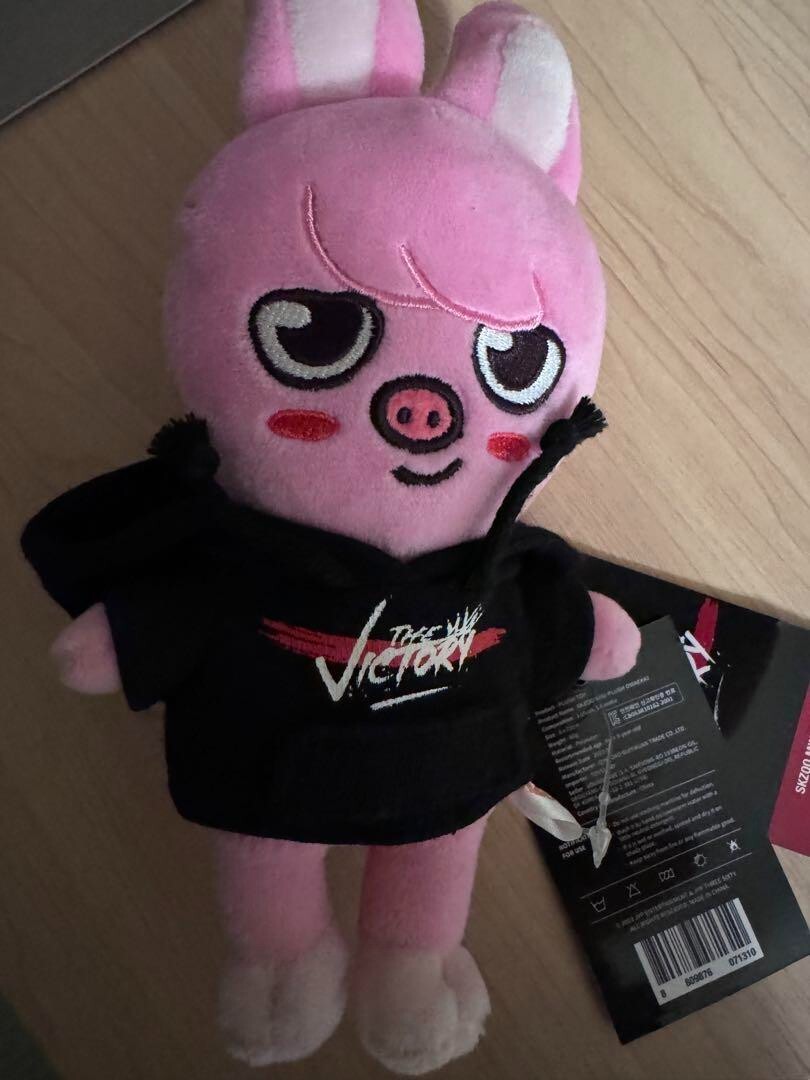 Stray Kids SKZOO Changbin DWAEKKI Plush doll Original Ver