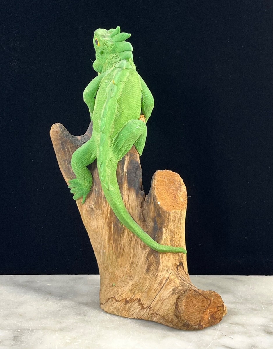 Realistic Resin Iguana Lizard On Driftwood/Wood Branch Figurine
