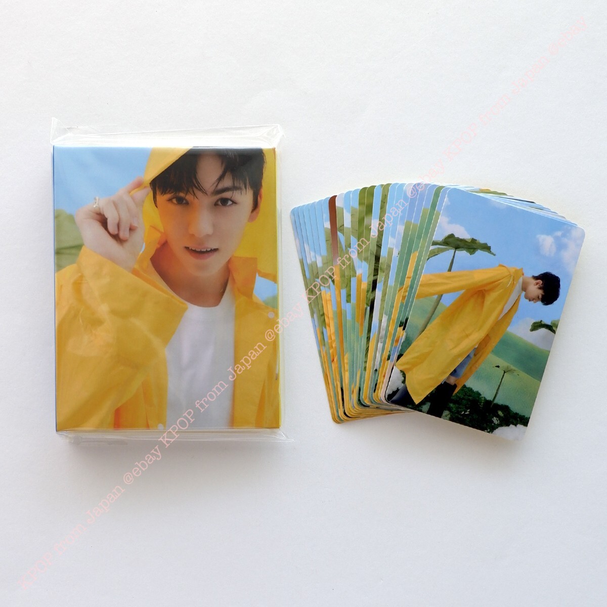VERNON SEVENTEEN SEVENTEENTH HEAVEN CARAT ver. Complete Photocard
