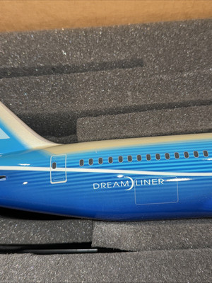 PACMIN BOEING 787-8 DREAMLINER EXECUTIVE 1:100 AIRPLANE NEW | eBay