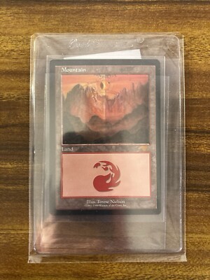 MTG✨eBay VERIFIED GURU MOUNTAIN✨Guru Lands Promo MINT RARE 1999