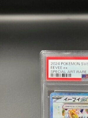 PSA 10 Eevee ex SAR 224/187 Terastal Festival sv8a 2024 Pokemon