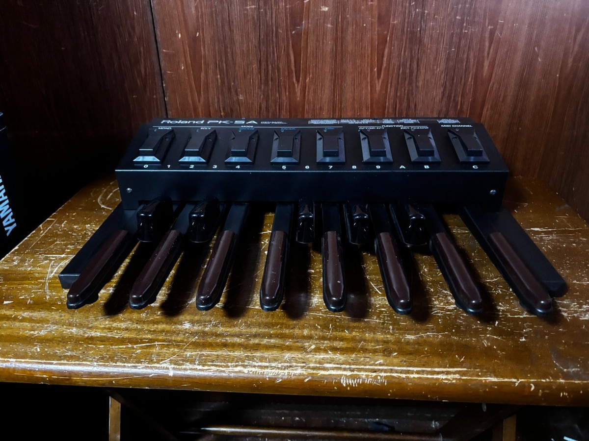 Roland PK-5A Dynamic Foot Pedal and MIDI Controller w/ power