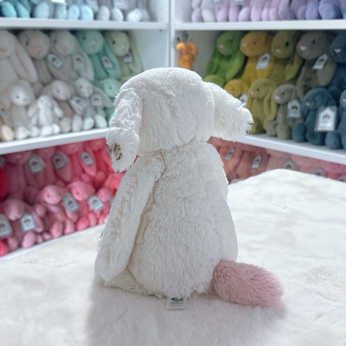 S*a様 Bashful lam Afternoon Tea S*a様 Bashful lam Afternoon Tea S