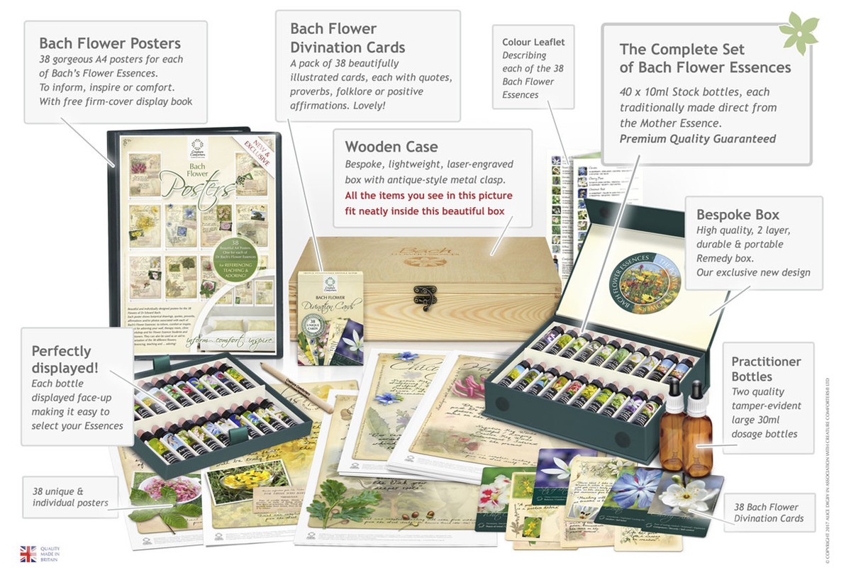 Bach Flower Essence Complete Kit Wooden Case. Practitioner Gift