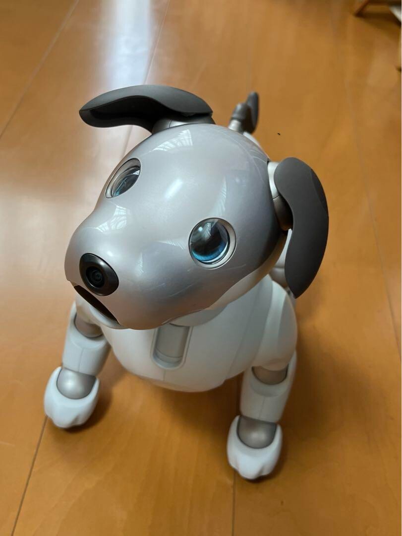 Sony AIBO ERS-1000 Entertainment Robot Dog Silver Tested Fully